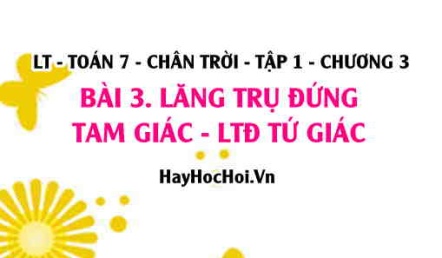 Lăng trụ đứng tam giác, lăng trụ đứng tứ giác: có bao nhiêu mặt, mấy đỉnh, mấy đường chéo? Toán 7 chân trời Tập 1 chương 3 Bài 3